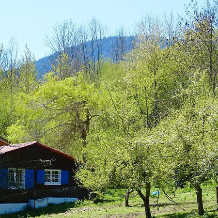 Prázdninový dům With Garden In The Pyrenees